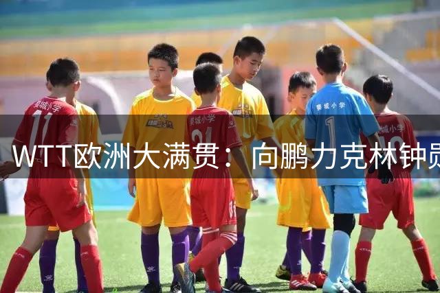 WTT欧洲大满贯：向鹏力克林钟勋挺进男单32强